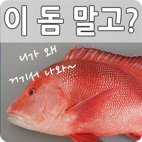  뜨거운 여름을 만드는 한반도 열돔 현상
