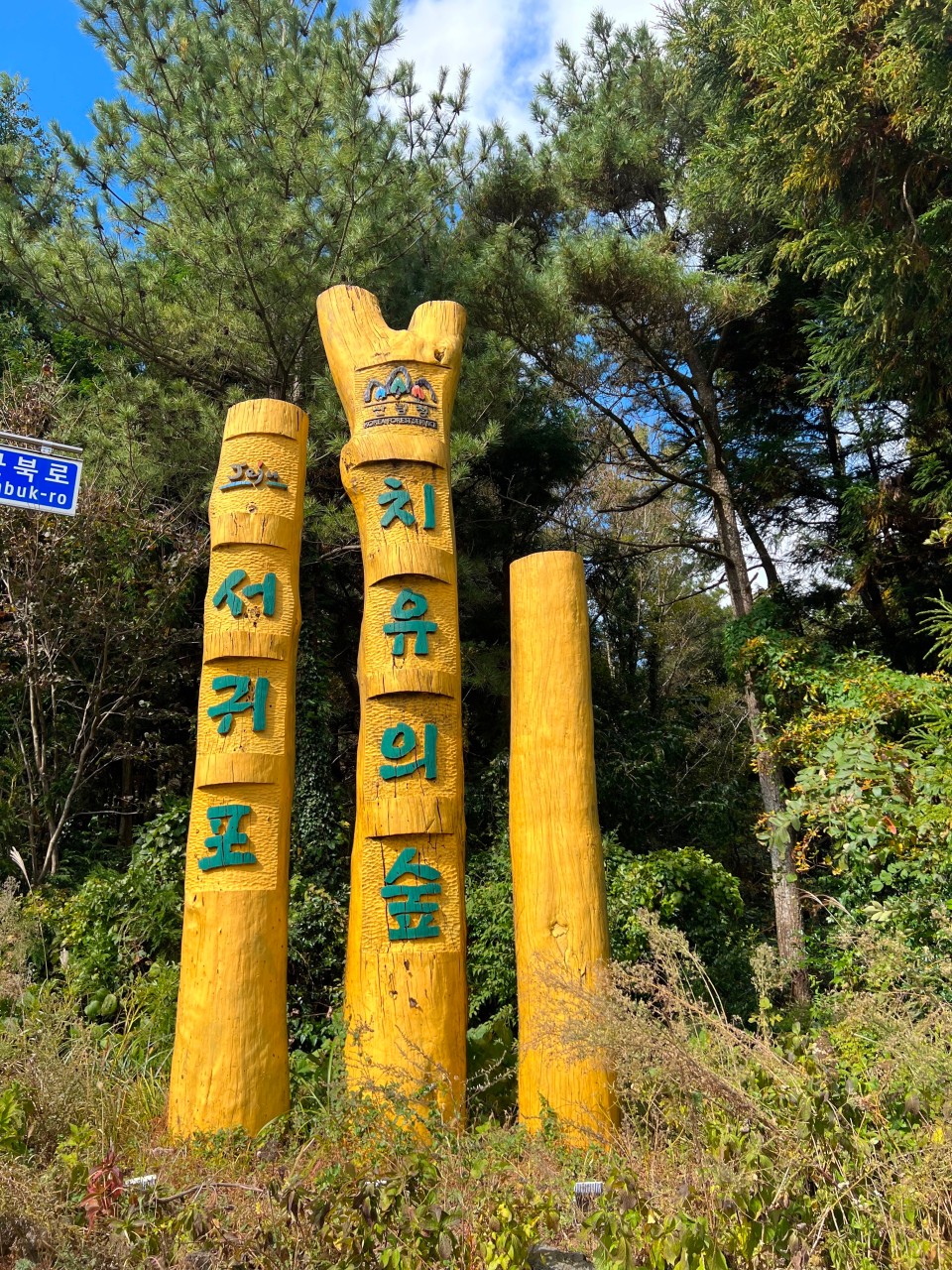 서귀포 치유의숲