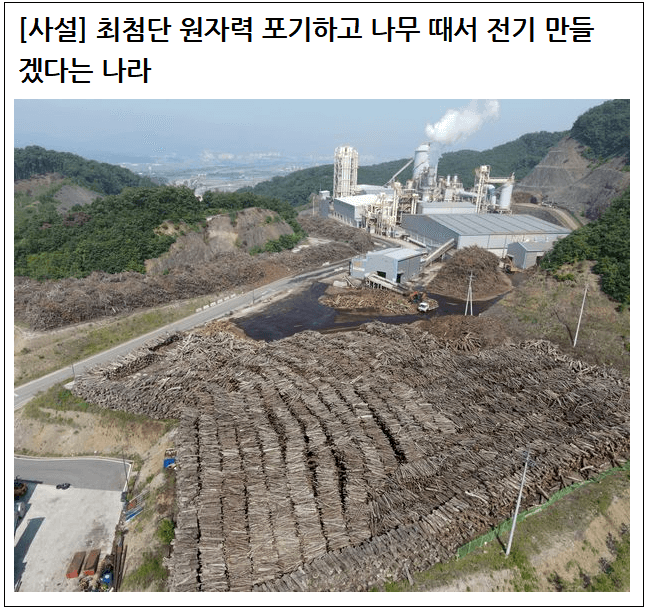  벌목해서 전기 만들겠다는 나라