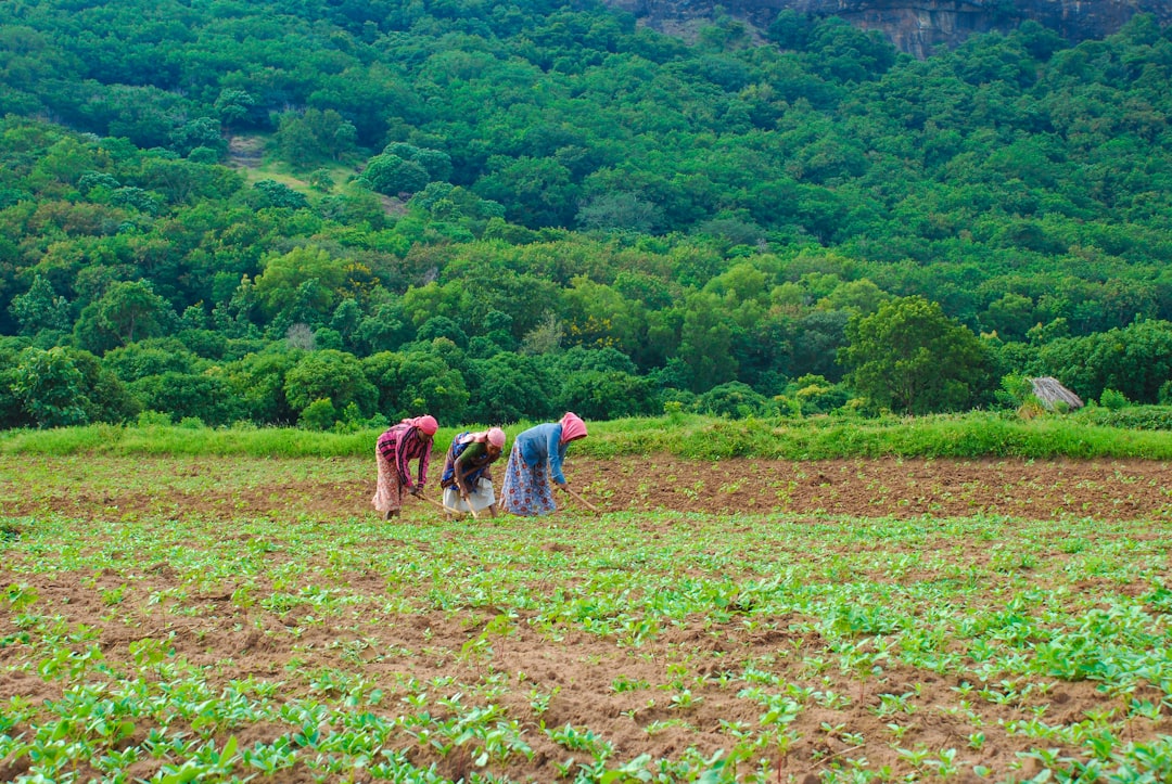 Agricultural pension