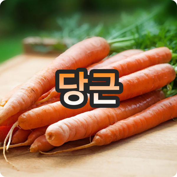  너무 흔해서 무심코 먹었던 당근의 효능!