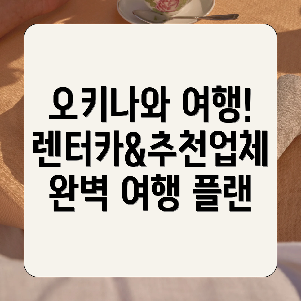 오키나와 렌트카