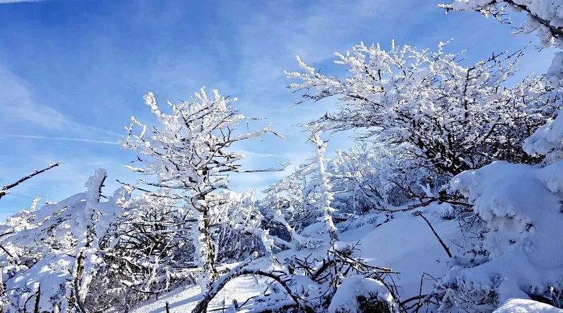 제주 한라산 설경 눈꽃