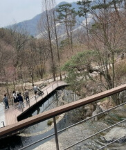 화담숲 예약방법