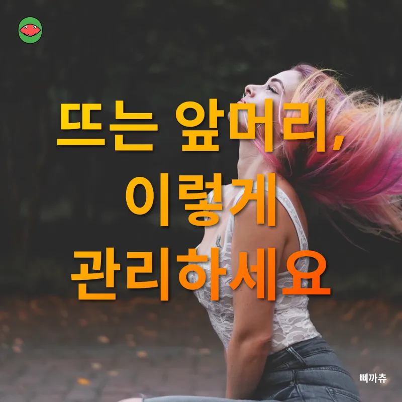 모발 스타일링_2