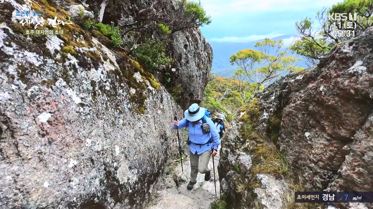 트레킹노트 세상을 걷다.E296.231112p-NEXT.mp4_20231111_182052.637.jpg