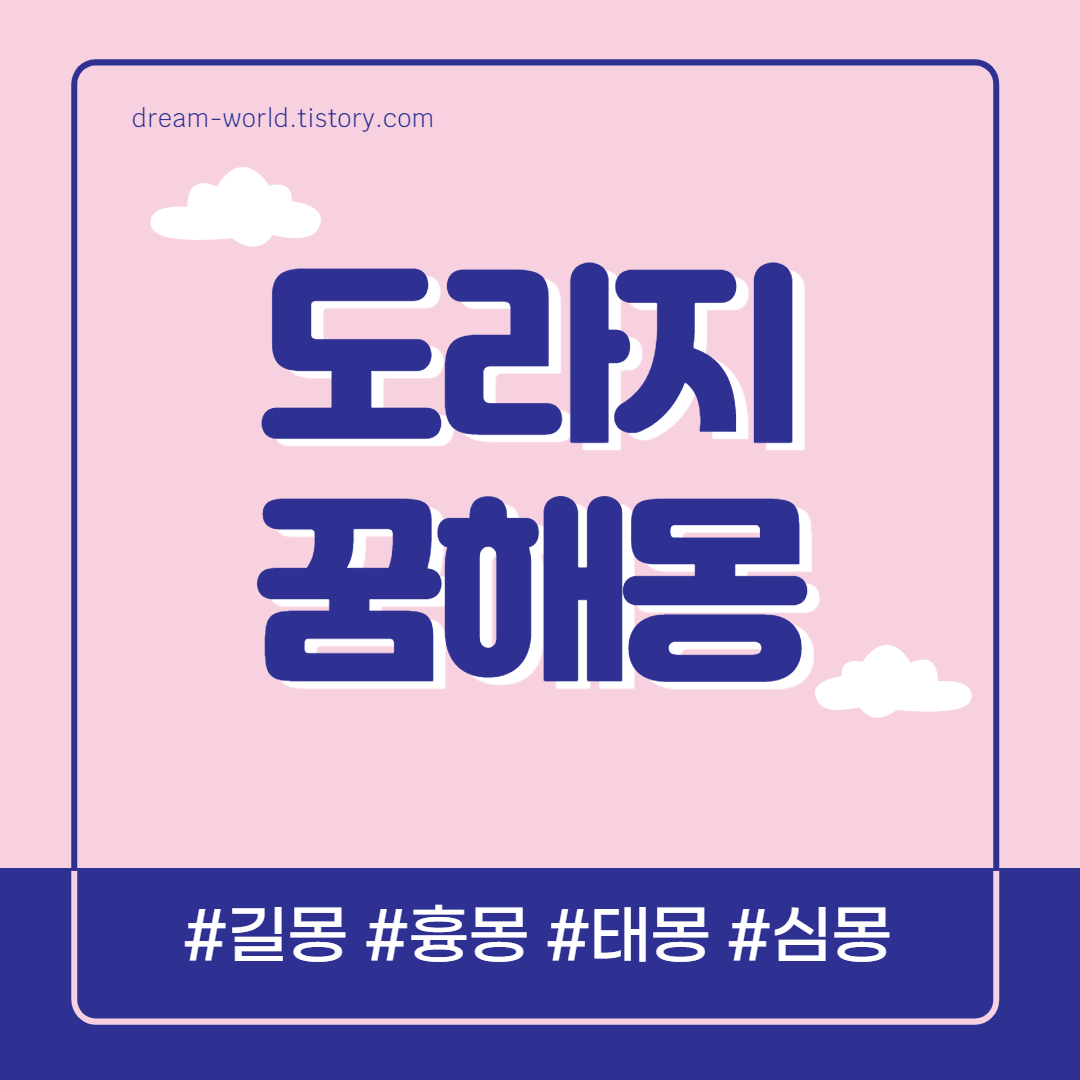  도라지 꿈해몽 10가지 총정리 (도라지 캐는 꿈해몽, 도라지꽃 꿈해몽)