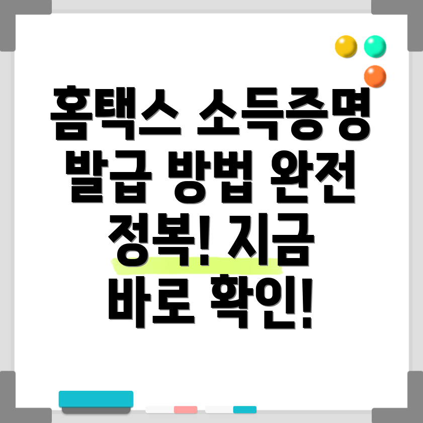 홈택스 소득금액증명원
