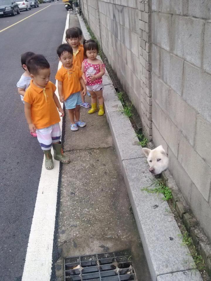   뚜뚜월드
