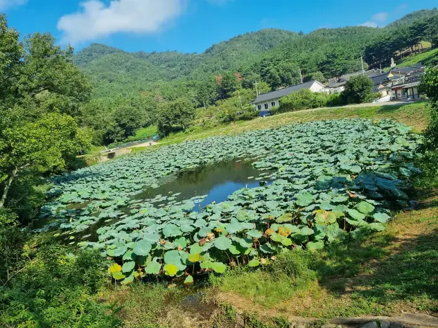 경주의 숨은 사진 명소, 인생샷 건질 포인트들