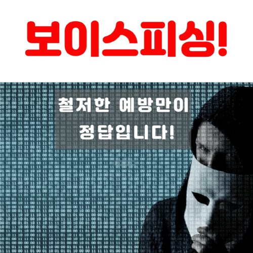 보이스피싱