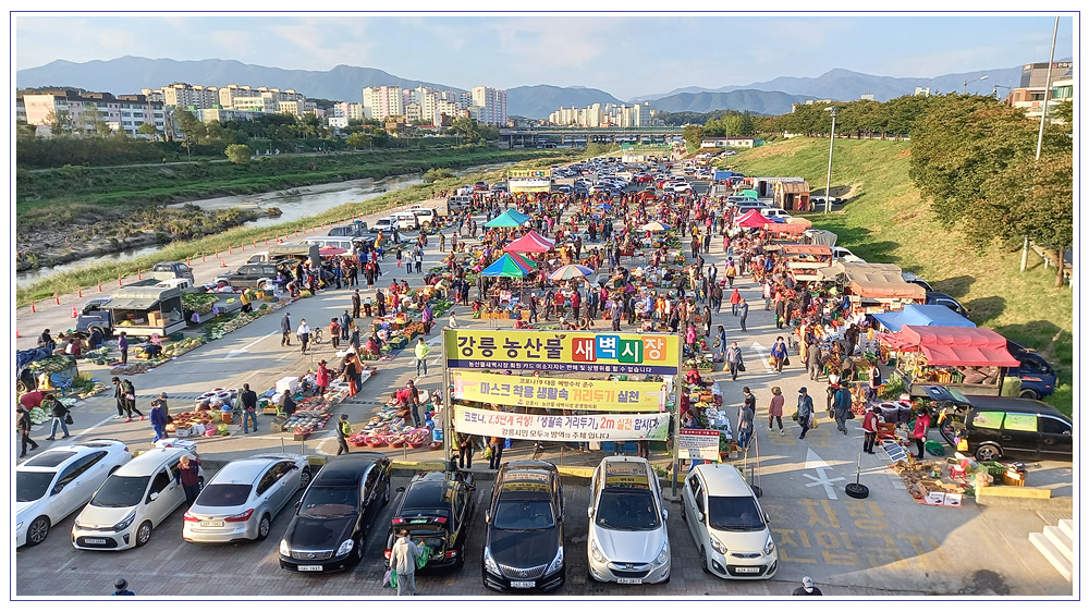 새벽시장 이미지