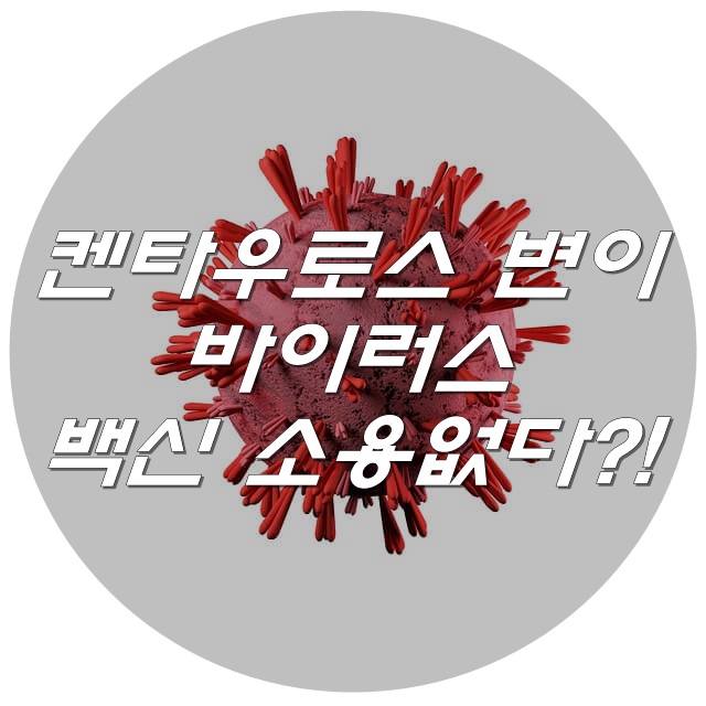  켄타우로스 변이 백신 소용없다?!