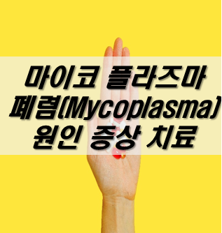 마이코-플라스마-플라즈마-폐렴-원인-치료-증상-기간