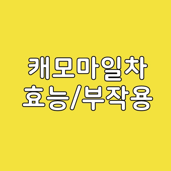  캐모마일차 효능
