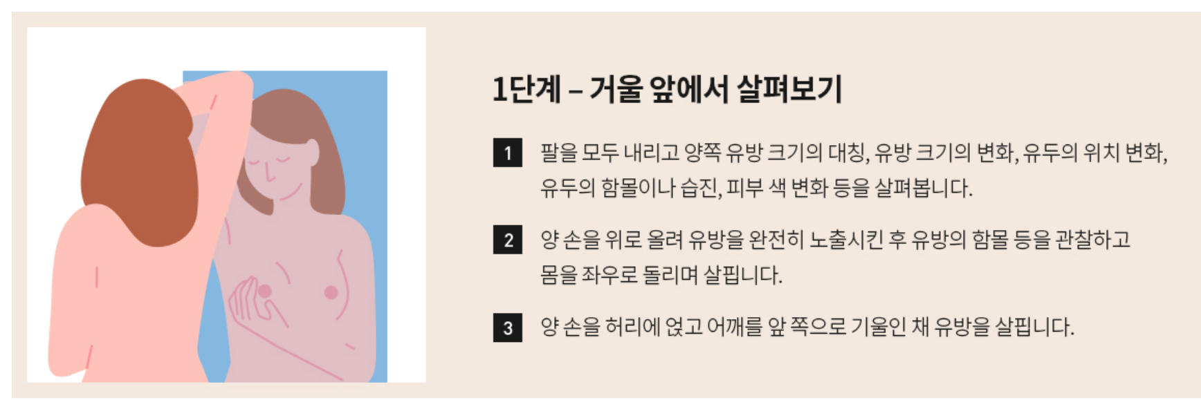 유방암 초기증상 검사비용 유방암 자가진단