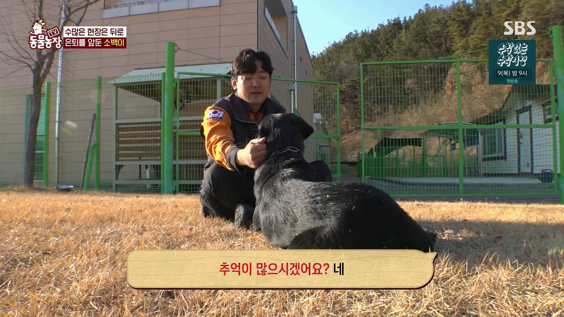 TV 동물농장.E1109.230226p.H264-F1RST.mp4_20230226_161922.004.jpg