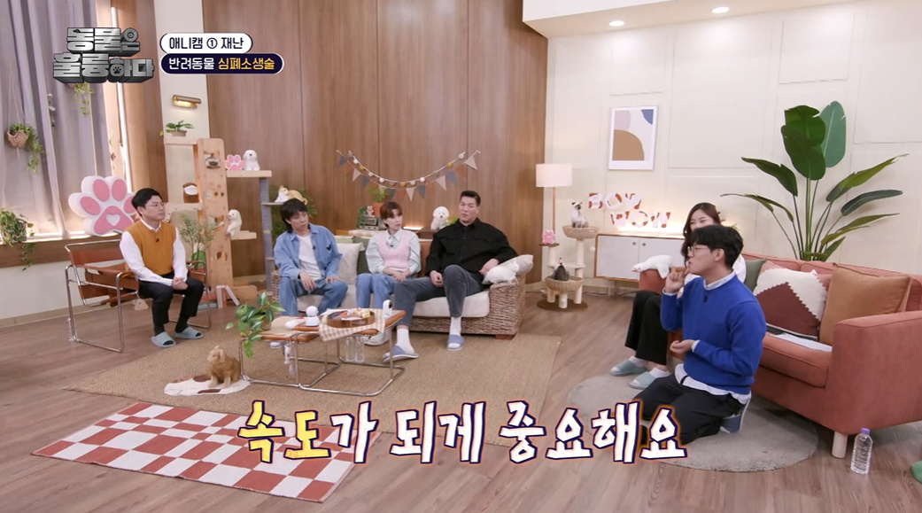 반려인들은 알아두면 좋을 만한 정보들...jpg | 인스티즈