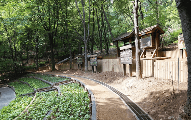 서울시 강남구 대모산