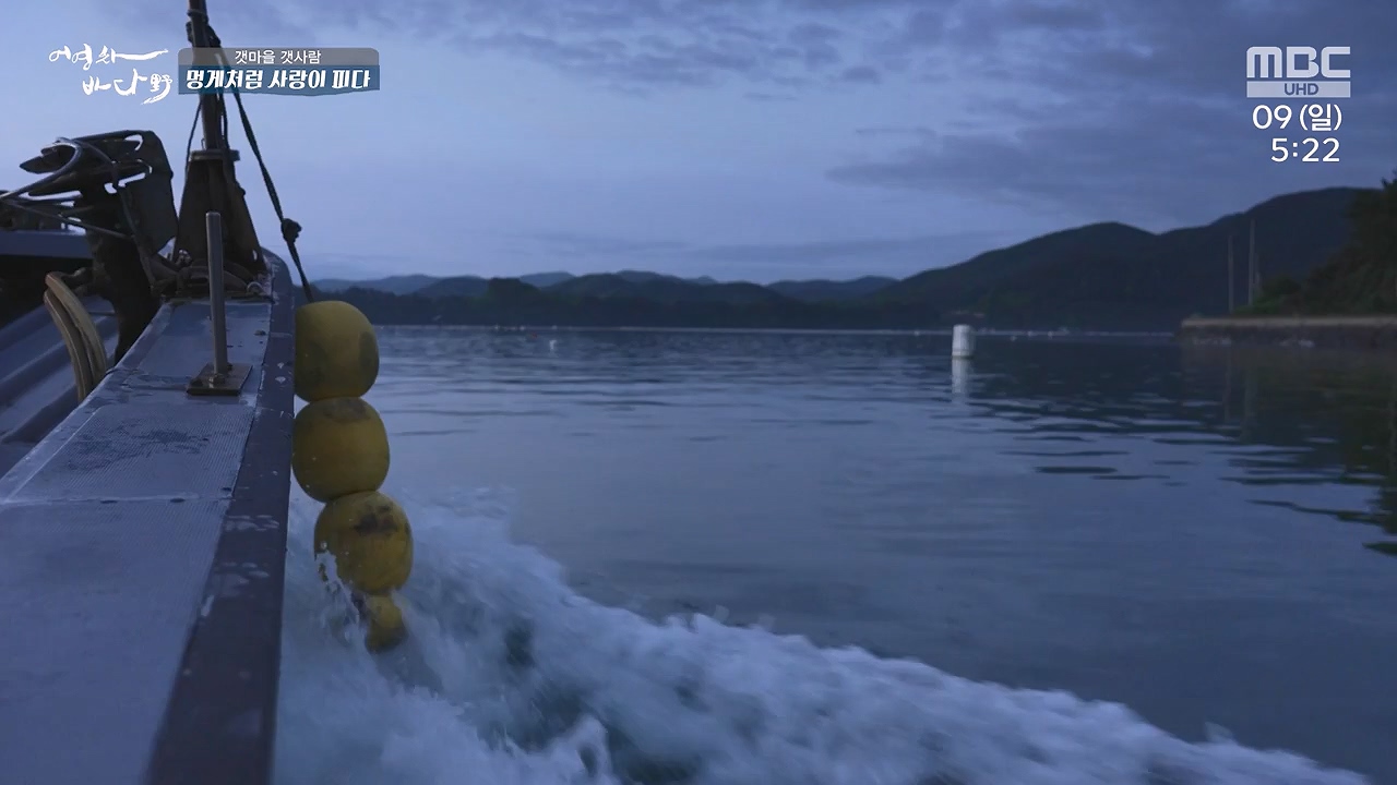 MBC 네트워크 특선 푸른백세 어영차 바다야.E1684.240610p-NEXT.mp4_20240611_203117.152.jpg