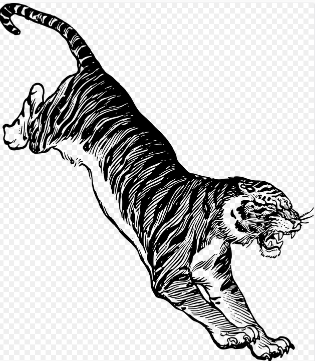  [2022년 띠별 운세]연도와 나이별 범(호랑이)띠 운세 무료 정보.