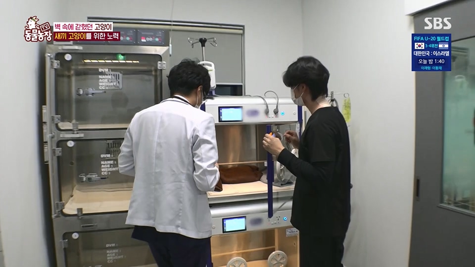 TV 동물농장.E1124.230611p.H264-F1RST.mp4_20230611_173549.802.jpg