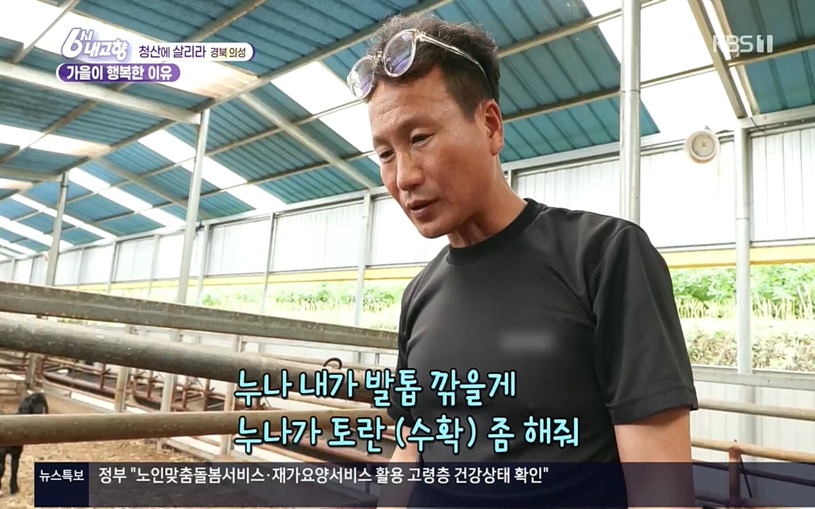 6시 내고향.E7618.220916p.H264-F1RST.mp4_20220920_204805.977.jpg