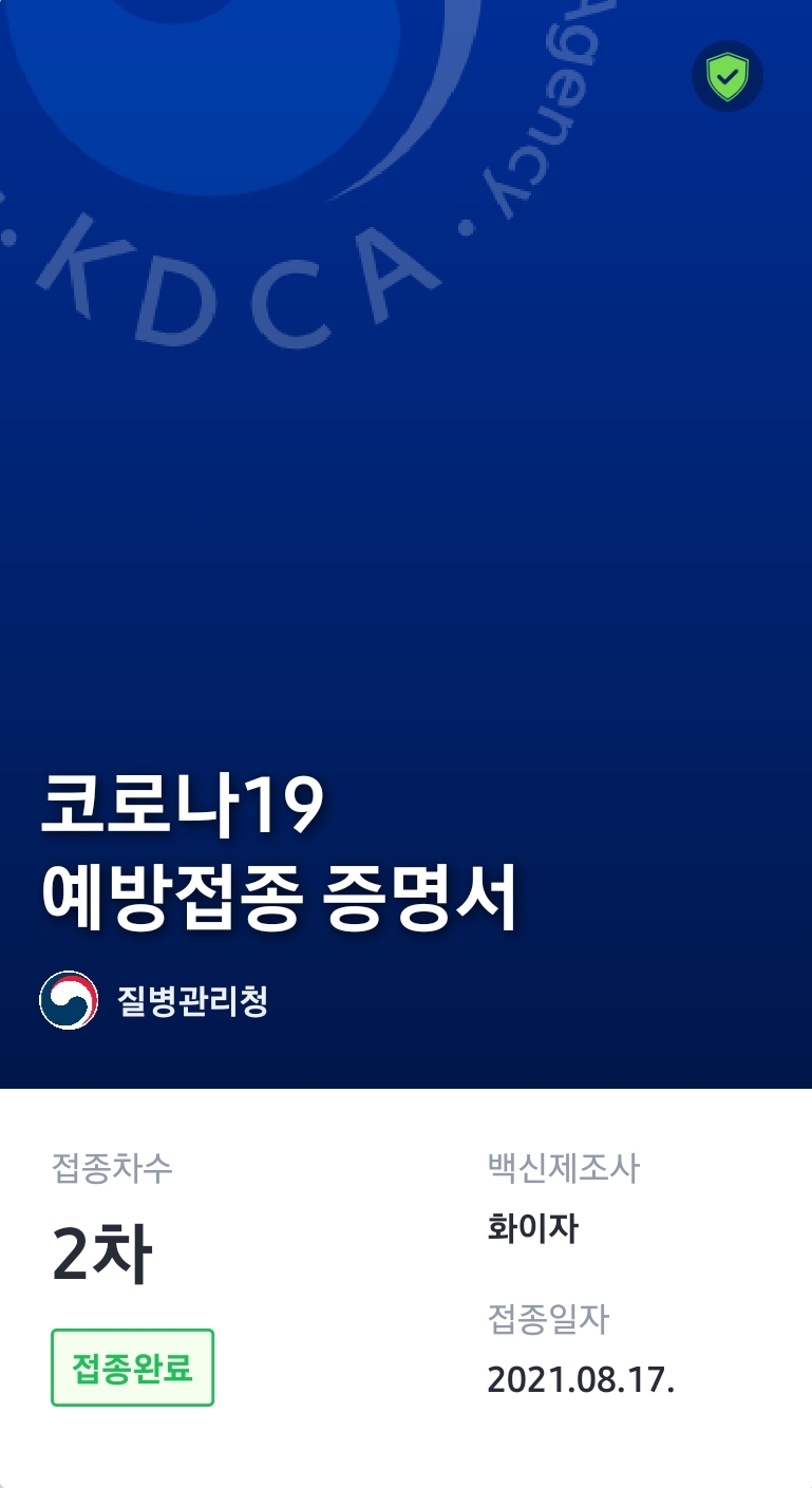  [백신 2차 접종 후기] 30대 초반 여자 화이자 백신  & 접종 후 증상 및 타이레놀 복용 