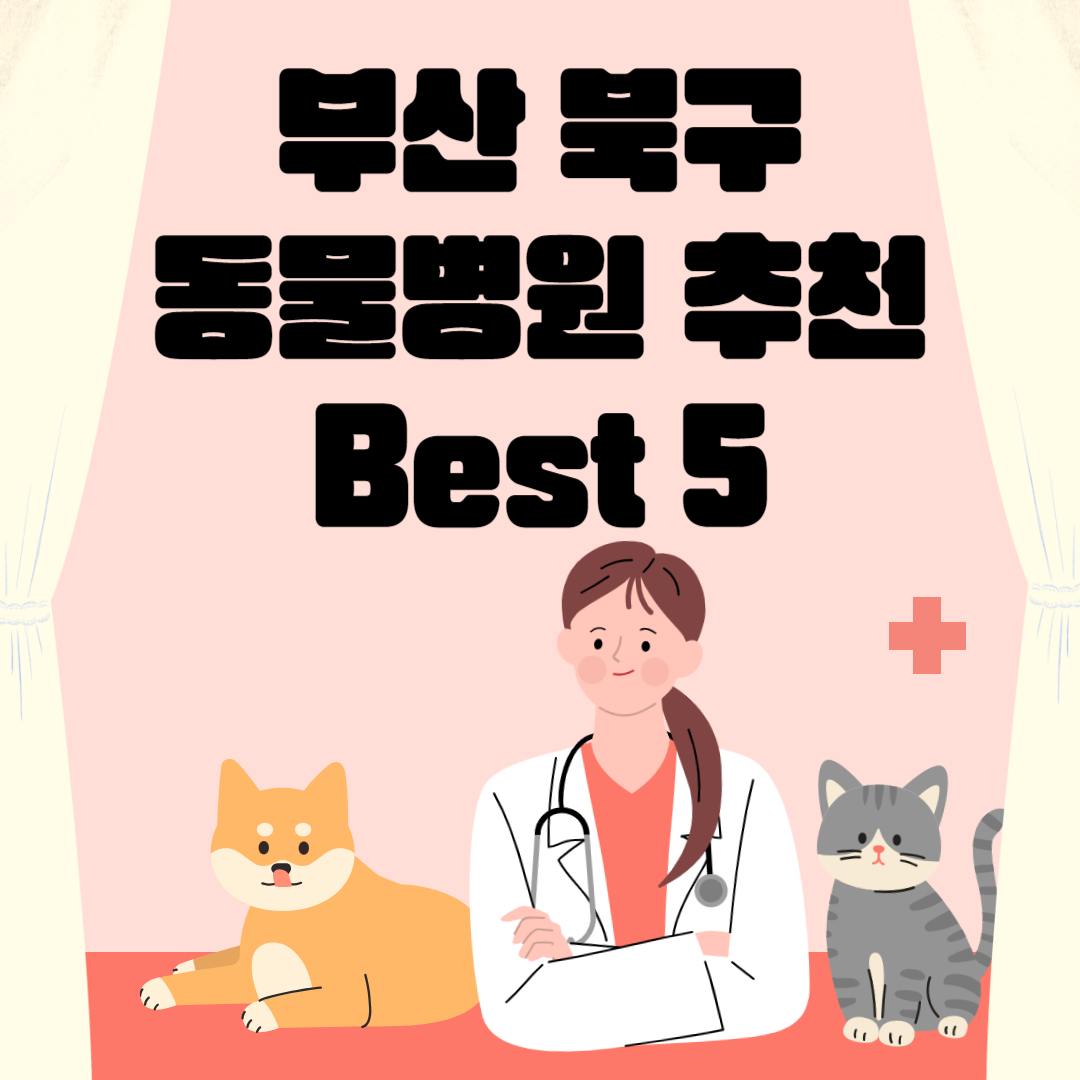부산 북구 동물병원 추천 Best 5 ㅣ24시간 동물병원ㅣ비용ㅣ반려동물 의료비 지원 50만원 블로그 썸내일 사진
