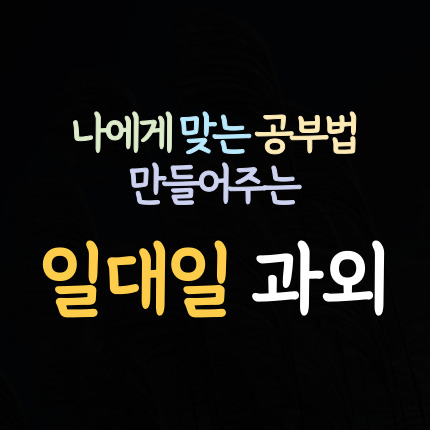  여수동 수학과외 도촌동 영어과외 초등 중등 고등 국어과외 중학생 성남 과학 사회 내신