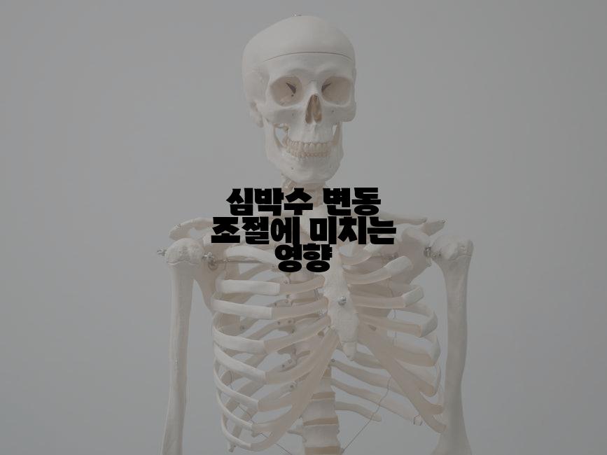 심박수 변동 조절에 미치는 영향