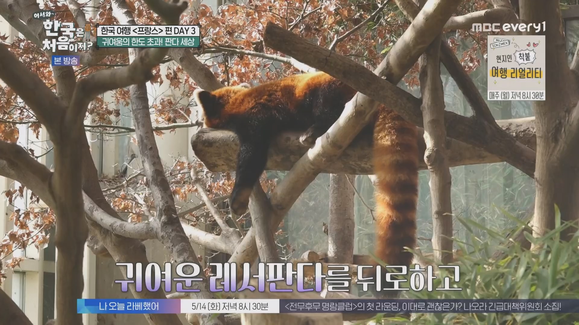 어서와~ 한국은 처음이지.E346.240509p.H264-F1RST.mp4_20240510_205729.409.jpg