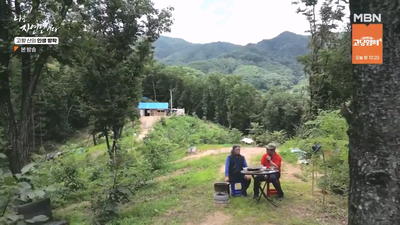 나는 자연인이다.E568.230824p-NEXT.mp4_20230824_203255.569.jpg