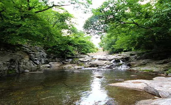 더설레임펜션