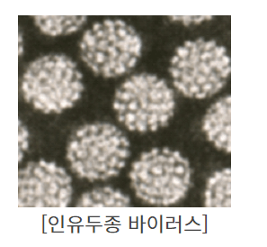 자궁경부암 예방접종 가격 자궁경부암 무료접종 대상