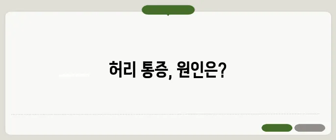 허리 통증 원인 분석 자세부터 디스크까지 다양해요