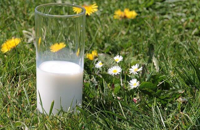 뼈건강에좋은식품 우유