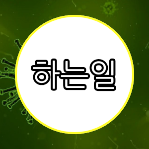 하는일