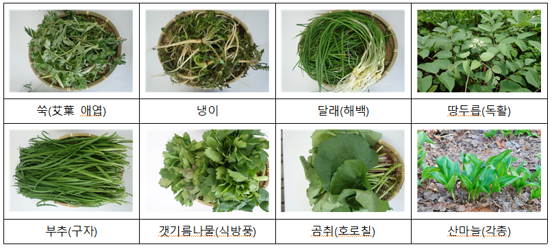 봄나물종류사진