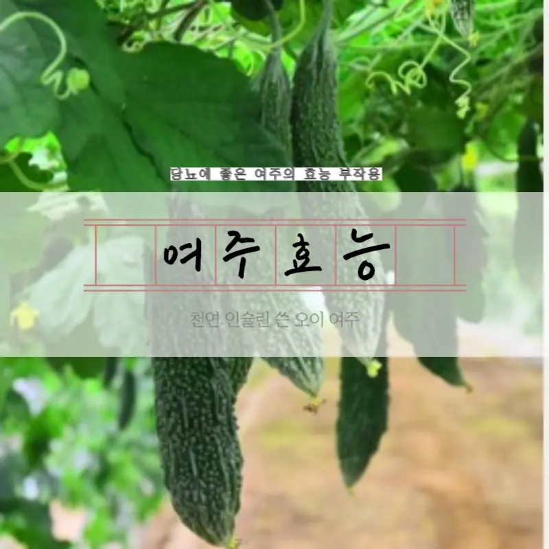 여주의 효능