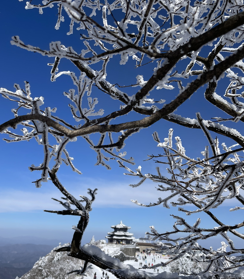 한국의 겨울산: 눈꽃과 설경이 아름다운 겨울 등산 명소