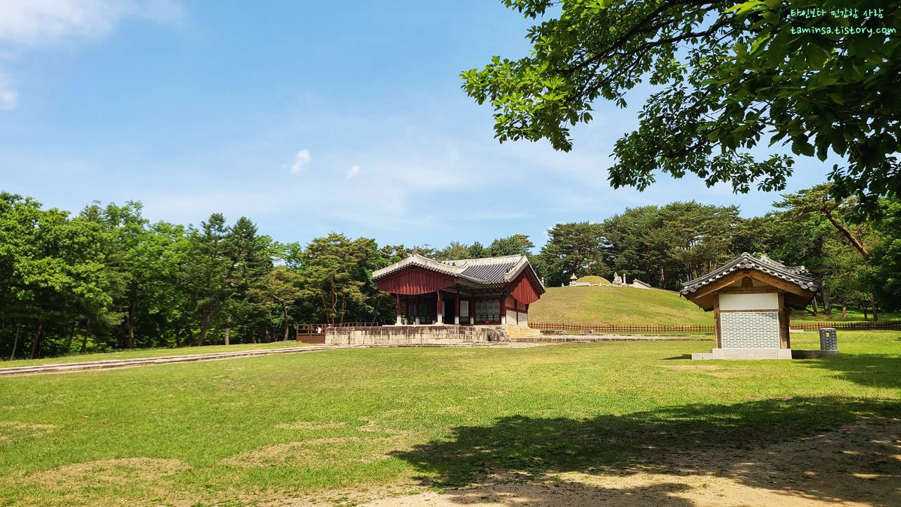 동구릉숲길개방