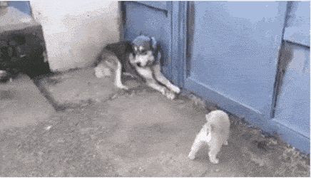 k리그 선수 성범죄 프로축구 선수 2명 성폭행 혐의로 조사. 9