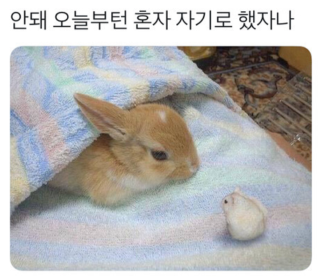  안돼! 오늘부턴 혼자 자기로 했자나