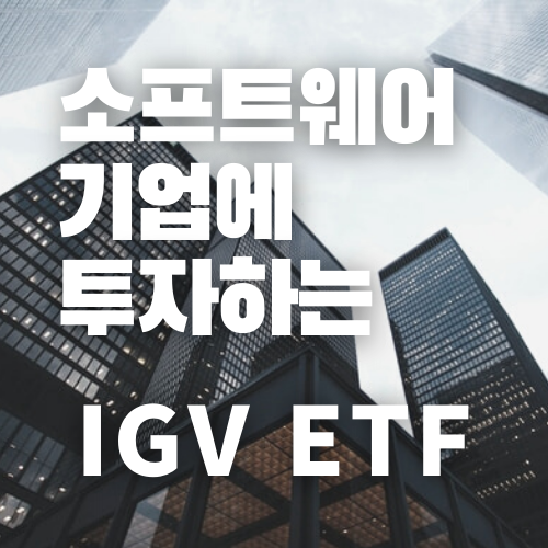 IGV ETF 소개로고