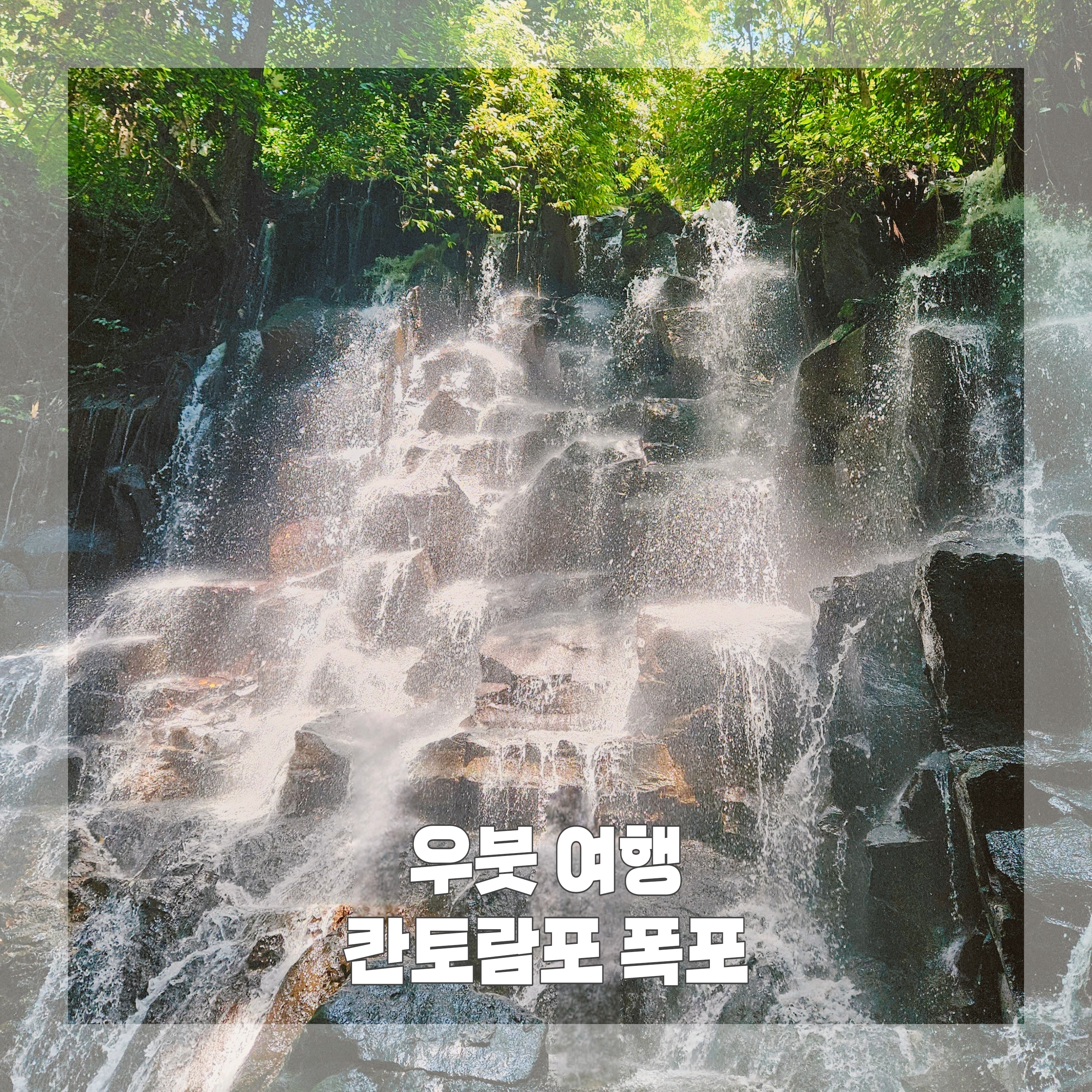 발리커피 이미지