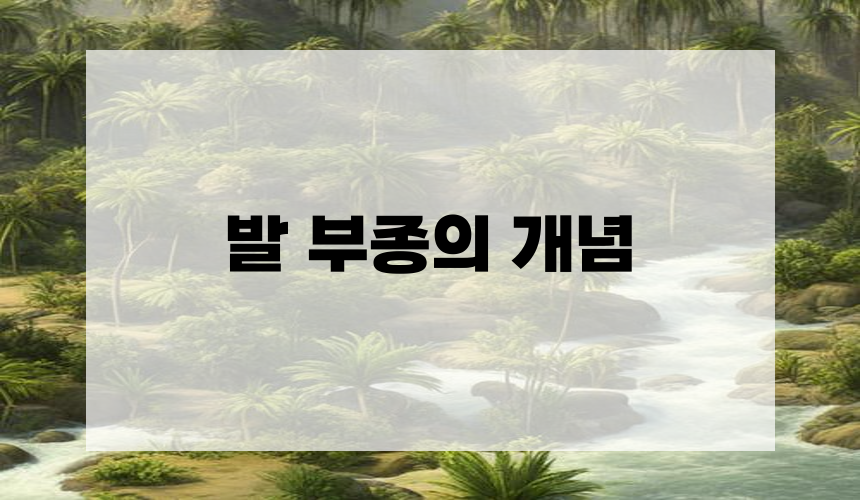 발 부종의 개념