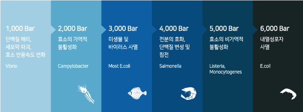 일신기술 이미지