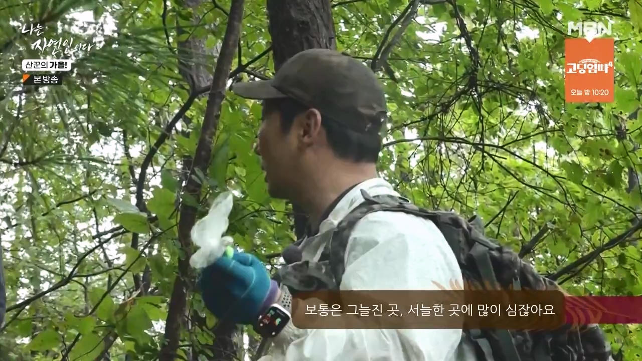 나는 자연인이다.E574.231005p-NEXT.mp4_20231005_200551.661.jpg