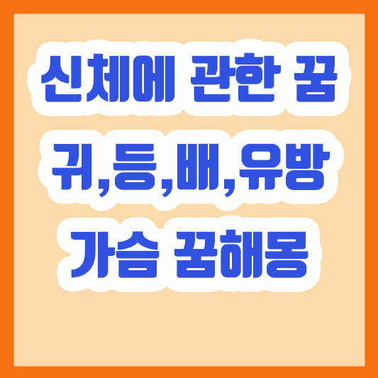 신체에 관한 꿈